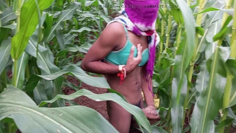 Étudiant coquin eunuque s'amuse follement dans le champ de maïs au crépuscule